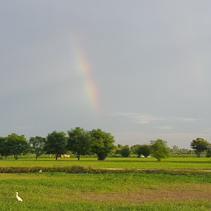 Union Council Office Grala photo