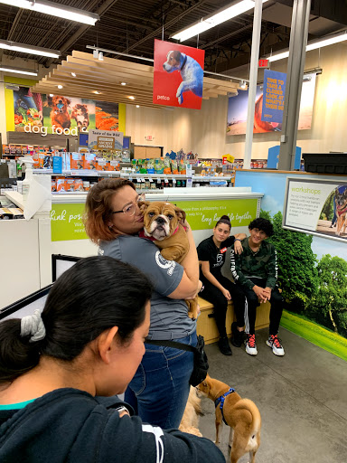 Petco Dog Training