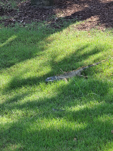 Golf Course «Biltmore Golf Course», reviews and photos, 1210 Anastasia Ave, Coral Gables, FL 33134, USA