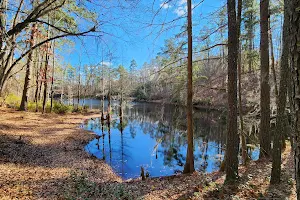 Manchester State Forest image