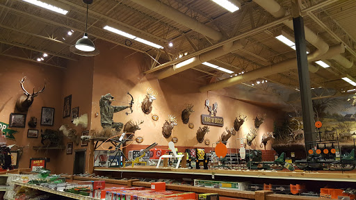 Sporting Goods Store «Bass Pro Shops», reviews and photos, 101 Bass Pro Drive, Harlingen, TX 78552, USA
