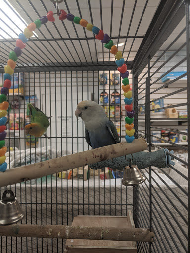 Pet Supply Store «Buckles Feed Depot & Pet Supply», reviews and photos, 220 S 4th St, Lafayette, IN 47901, USA