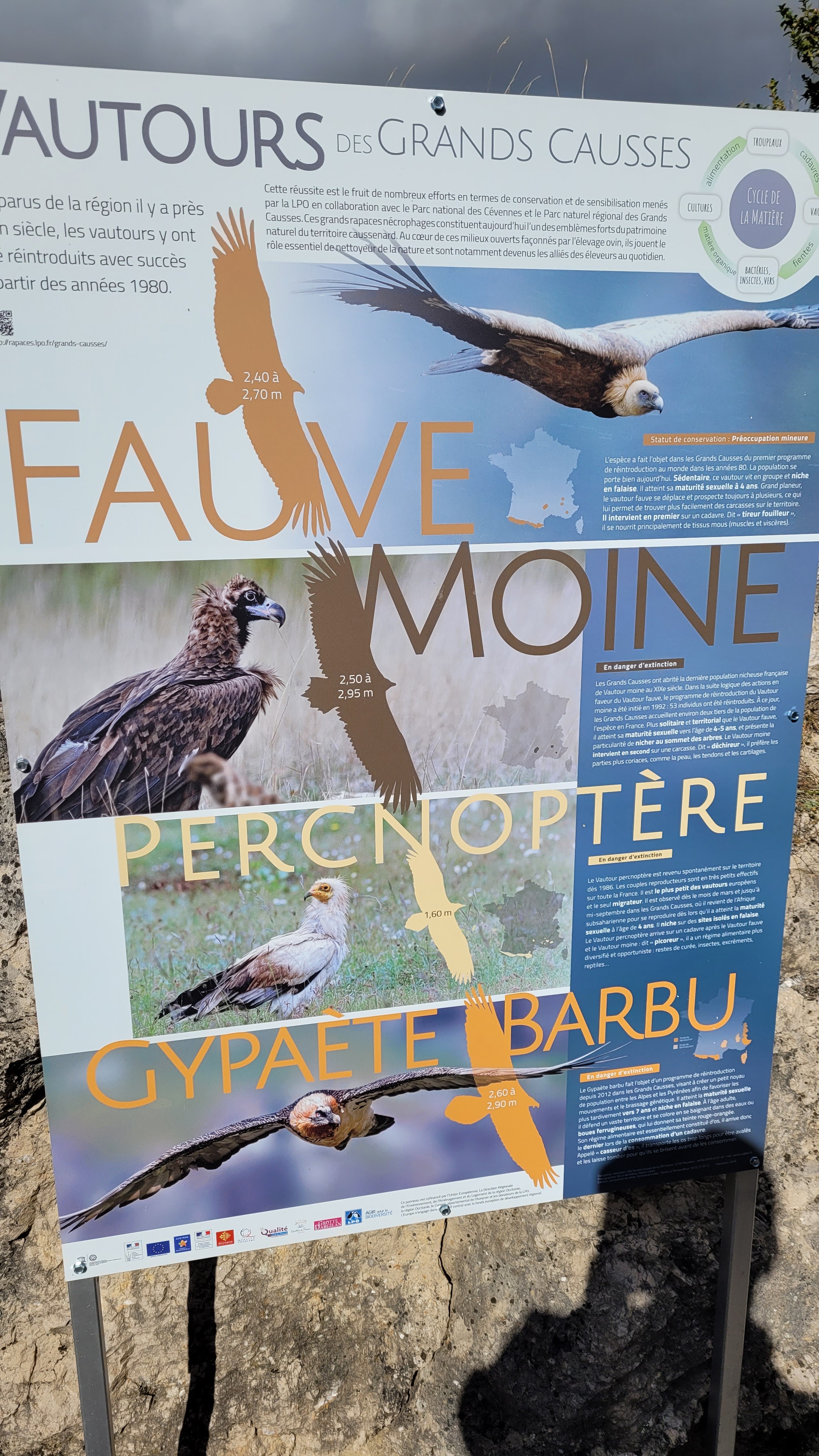 Photo n° 18 de l'avis de Jhone.r fait le 30/09/2021 à 18:28