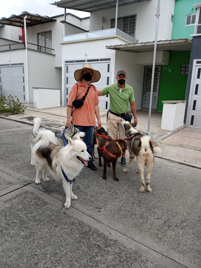 Paseador de Perros Cartago Valle
