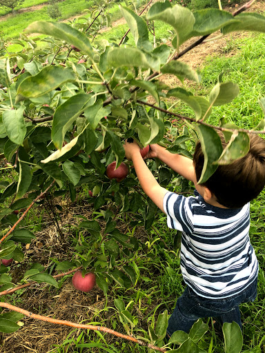 Orchard «Autumn Hills Orchard», reviews and photos, 495 Chicopee Row, Groton, MA 01450, USA