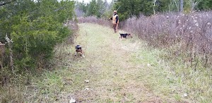 Sycamore State Park - photo 69
