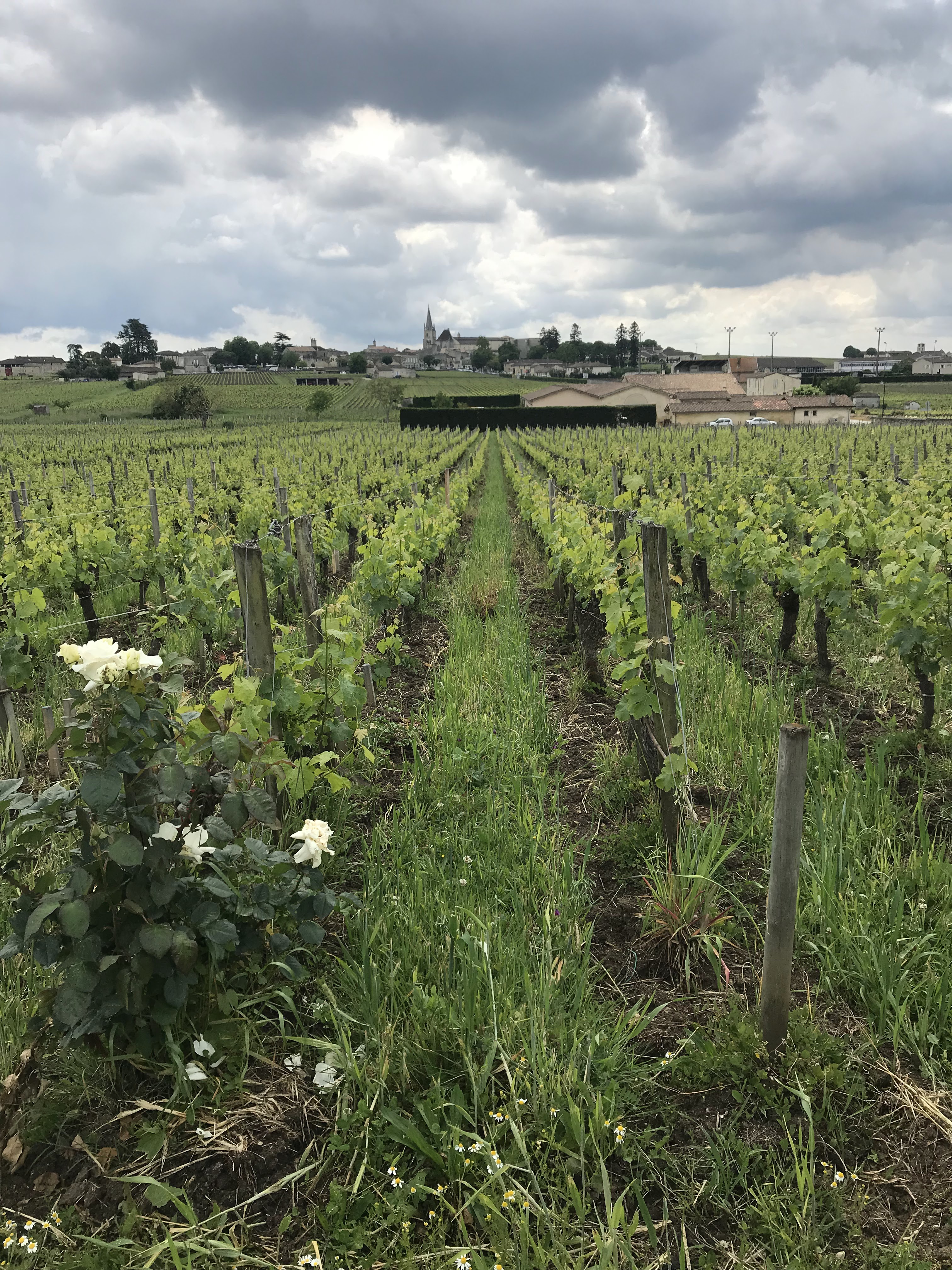 Photo n° 4 de l'avis de Rebecca. fait le 21/05/2019 à 14:46
