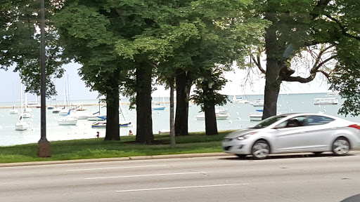 Park «Maggie Daley Park», reviews and photos, 337 E Randolph St, Chicago, IL 60601, USA