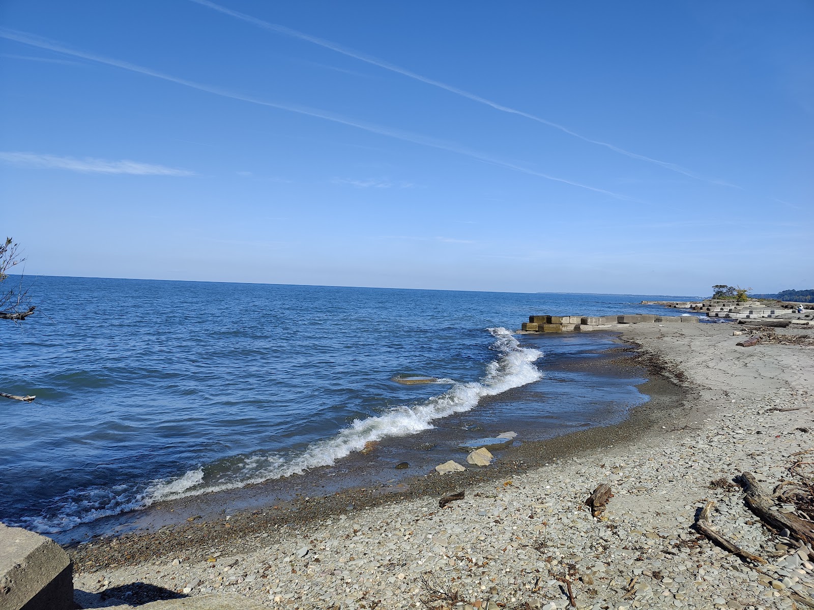 Fotografija Walnut Creek Beach z sivi kamenček površino