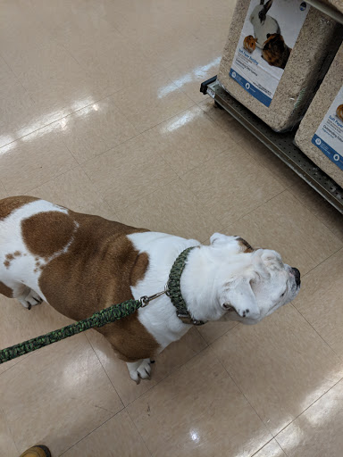 Pet Supply Store «Petco», reviews and photos, 369 S Weber Rd, Romeoville, IL 60446, USA