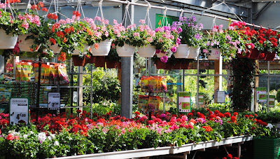 Jardin Fleuri à Lyon