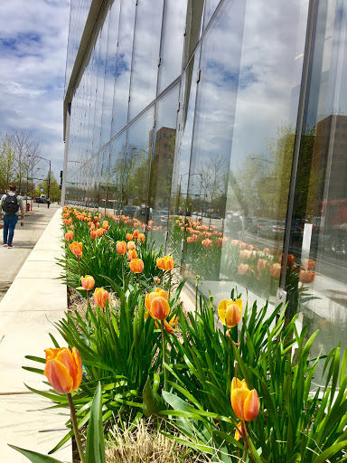 Non-Profit Organization «Goodwill Store & Donation Center», reviews and photos, 1201 W Washington Blvd, Chicago, IL 60607, USA