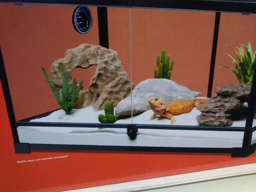 Pet Supply Store «PetSmart», reviews and photos, 15555 E 14th St, San Leandro, CA 94578, USA