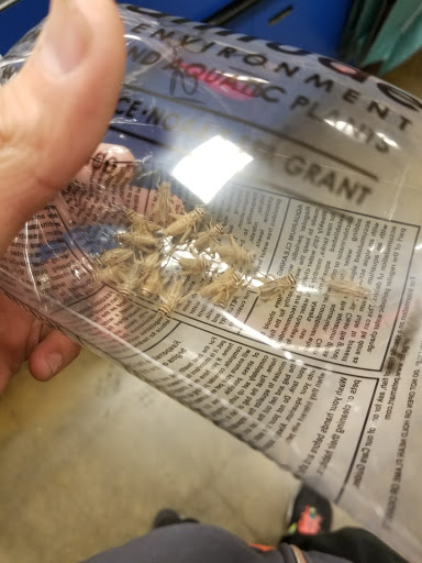 Pet Supply Store «PetSmart», reviews and photos, 573 N McKinley St, Corona, CA 92879, USA