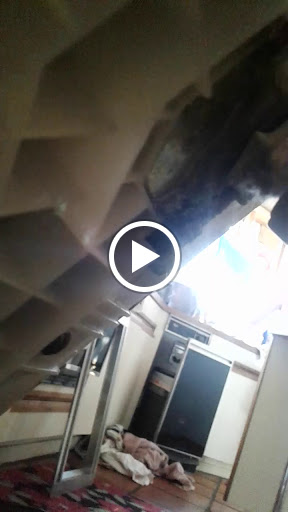 Park «Olmos Basin», reviews and photos, 651 Devine Rd, San Antonio, TX 78209, USA