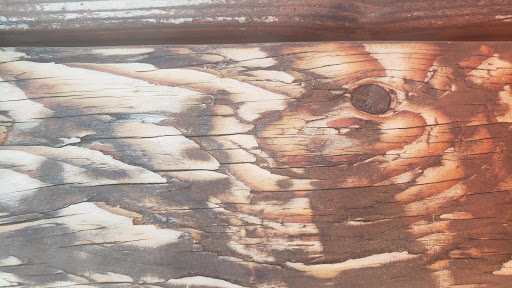 Family Restaurant «Yachats Underground Pub & Grub», reviews and photos, 125 Ocean View Dr, Yachats, OR 97498, USA