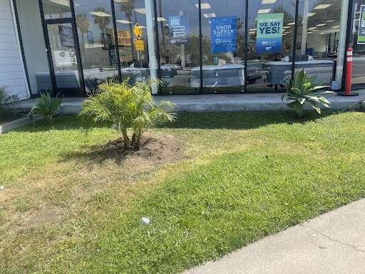 Ortho Mattress image