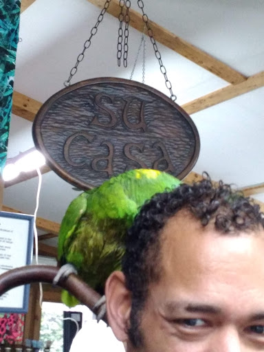 Boutique «Su Casa Boutique», reviews and photos, 1041 N Cedar St, Lansing, MI 48906, USA