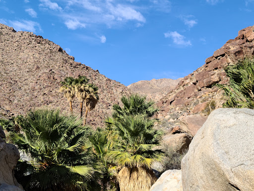 Borrego Palm Canyon Trailhead