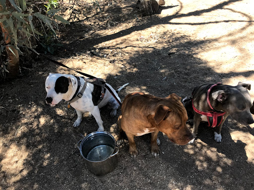 Shady Lady Attic Antiques