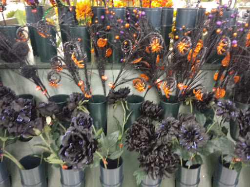 Craft Store «Hobby Lobby», reviews and photos, 1660 S Robert St, West St Paul, MN 55118, USA