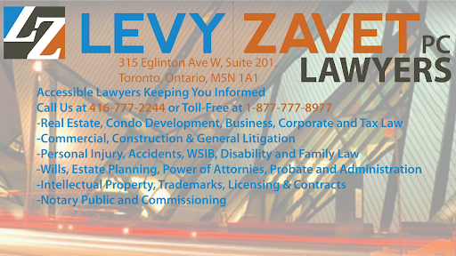 Levy Zavet PC, Lawyers