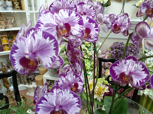 Florist «Floral Impressions», reviews and photos, 4203 W El Prado Blvd # A, Tampa, FL 33629, USA