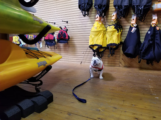 Outdoor Sports Store «Cadillac Mountain Sports», reviews and photos, 32 High St, Ellsworth, ME 04605, USA