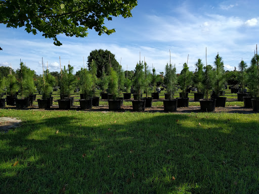 Recreation Center «Revolution Off Road», reviews and photos, 4000 FL-33, Clermont, FL 34714, USA