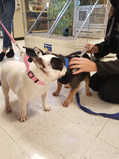 Pet Supply Store «PetSmart», reviews and photos, 2309 I-20, Grand Prairie, TX 75052, USA