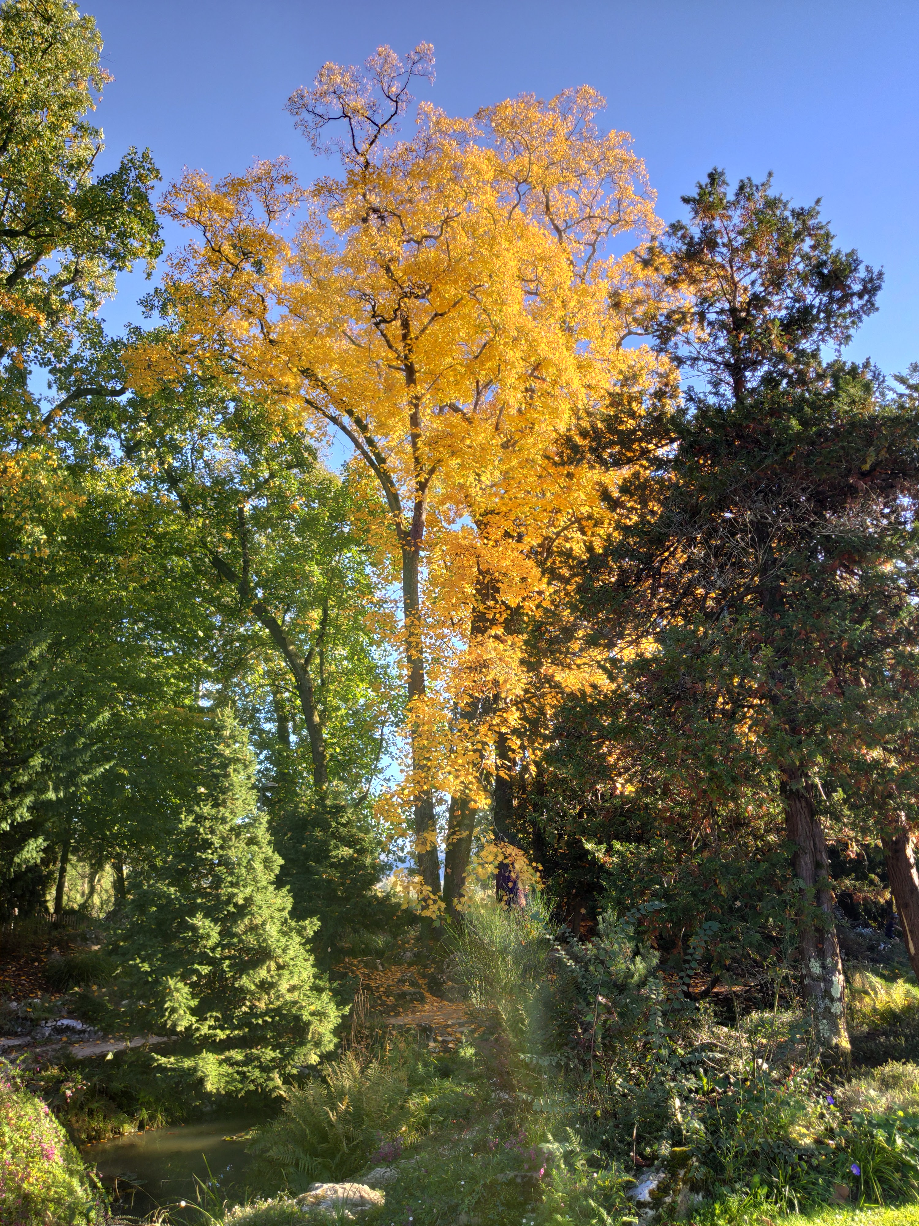 Photo n° 3 de l'avis de Ley. fait le 26/10/2021 à 17:42