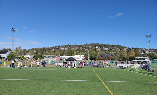 Offentlige fotballbaner Oslo