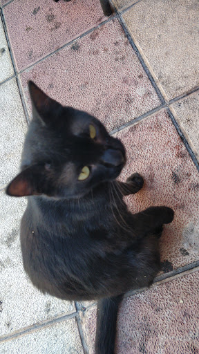 Centro Veterinario Villaobispo en Villaobispo de las Regueras