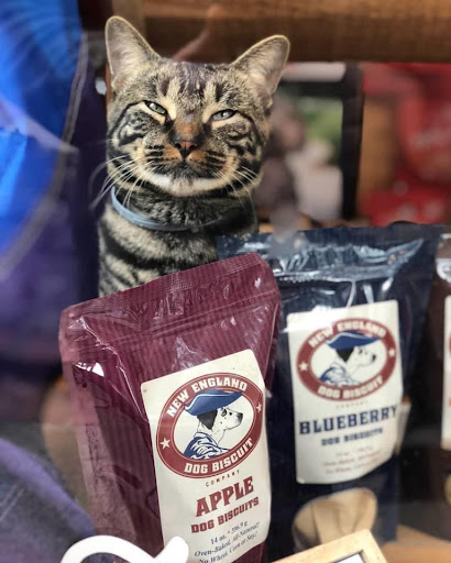 Pet Supply Store «New England Dog Biscuit Company», reviews and photos, 7 Central St, Salem, MA 01970, USA