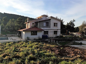 Bodrum Fayans Ustası Serdar Akkan