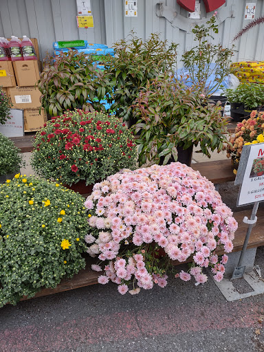 Hardware Store «Rocking R Ace Hardware», reviews and photos, 1030 S High St, Harrisonburg, VA 22801, USA