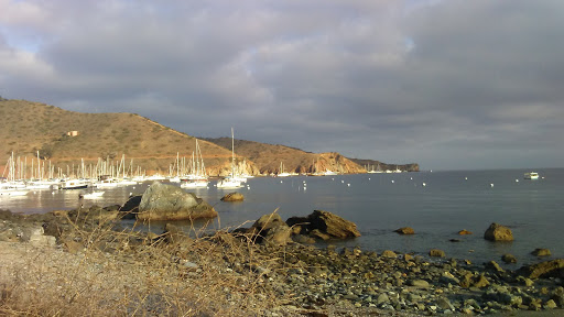 Gift Shop «Two Harbors General Store», reviews and photos, 1 Banning House Rd, Avalon, CA 90704, USA