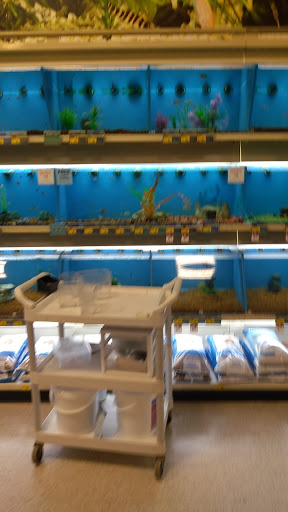 Pet Supply Store «PetSmart», reviews and photos, 12046 Paul Mayer Ave, Bridgeton, MO 63044, USA