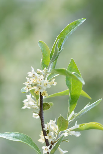 Nature Preserve «Creasey Mahan Nature Preserve», reviews and photos, 12501 Harmony Landing Rd, Goshen, KY 40026, USA