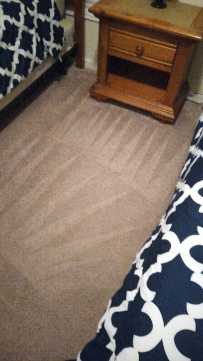 Eco Steam Carpet Cleaning, LLC