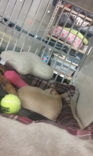 Pet Store «Family Pet Center», reviews and photos, 11916 NE Halsey St, Portland, OR 97220, USA