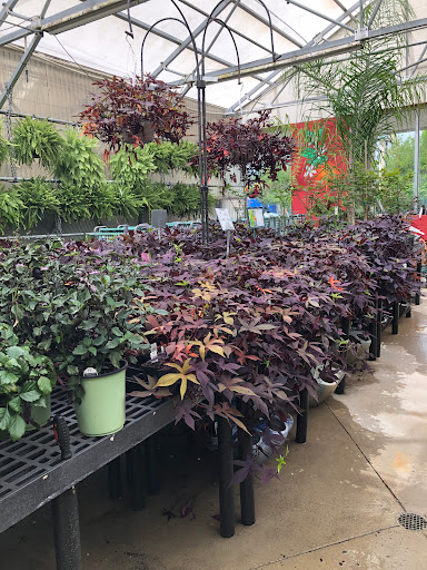 Hardware Store «Hagan Ace Hardware», reviews and photos, 12501 San Jose Blvd, Jacksonville, FL 32223, USA