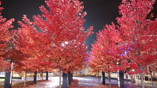Stadium «Target Field», reviews and photos, 1 Twins Way, Minneapolis, MN 55403, USA