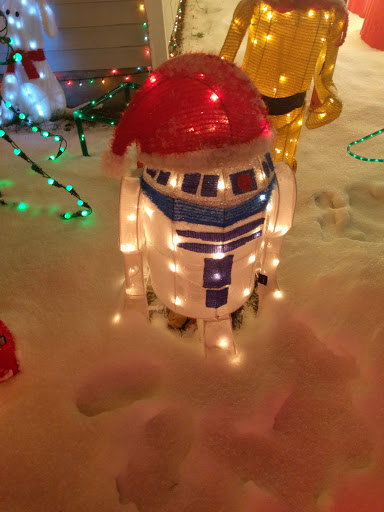 Dollar Store «FAMILY DOLLAR», reviews and photos, 1437 N Main St Ste. 2, Peckville, PA 18452, USA