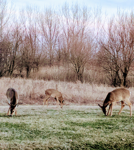 Golf Course «RiverWinds Golf & Tennis Club», reviews and photos, 270 Eagle Point Rd, West Deptford, NJ 08086, USA