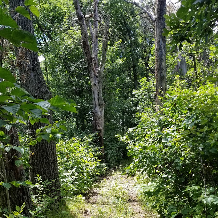 Fred and Rose Cross Nature Area