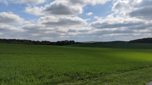 Wedding Venue «Morningside Inn», reviews and photos, 7477 McKaig Rd, Frederick, MD 21701, USA