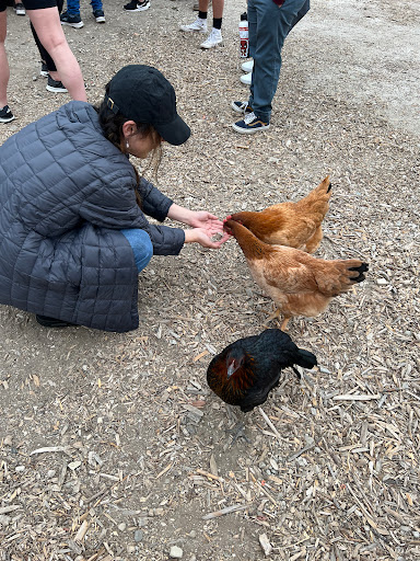 Employment Agency «Express Employment Professionals of Thousand Oaks, CA», reviews and photos, 600 Hampshire Rd #201, Thousand Oaks, CA 91361, USA