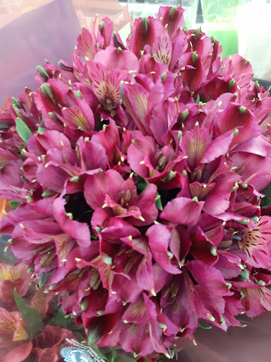 Department Store «Walmart Supercenter», reviews and photos, 100 Mall Dr, Steubenville, OH 43952, USA