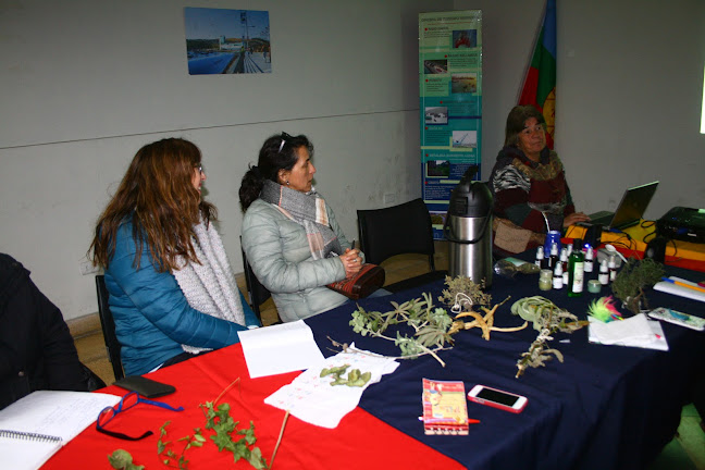 Comentarios y opiniones de LAWEN MAULEN Medicina Ancestral Mapuche